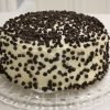 vanilla chocochips cake