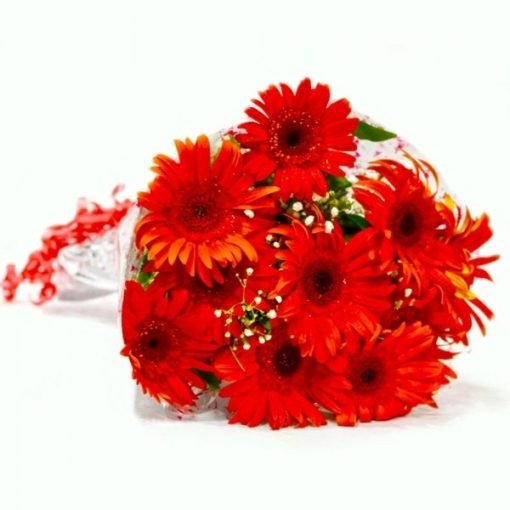 gerbera bouquet