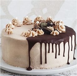 choco fudge cake