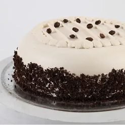 Creamy Coffee Vanilla Cake1