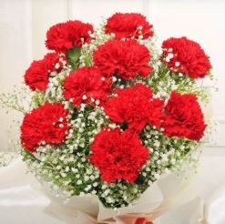 Fillers Around Red Carnations1