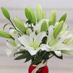 White Lilies In a Red Vase1