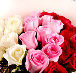 Karwa Chauth Mixed Roses2