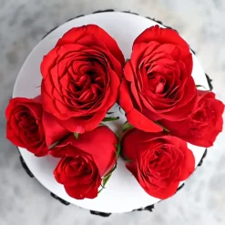 Special Rose Day Cake3