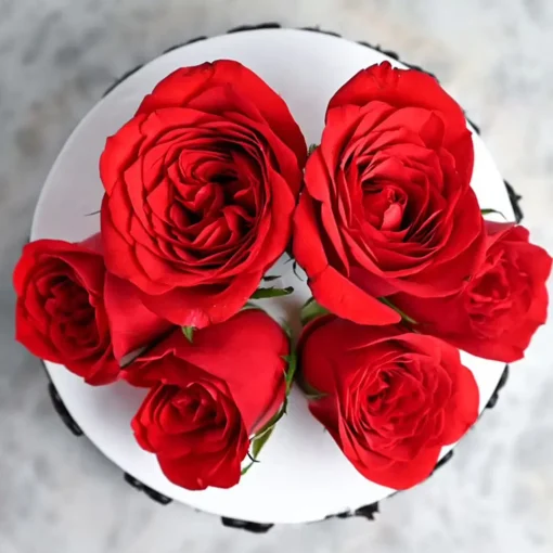 Special Rose Day Cake3